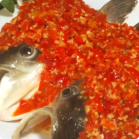 青梢鲌4